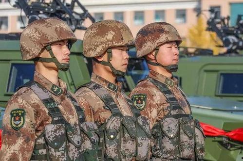 免费国产在线步兵区,免费资源下的影视盛宴